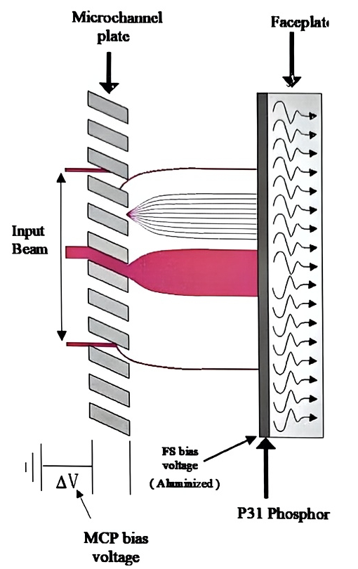 MicroChannel plate / fluorescent screen detector schematic
