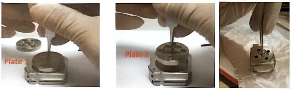 Sample holder preparation steps