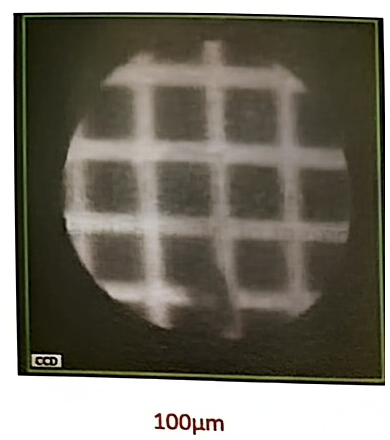 CCD image of the grid with a 100 μm field of view