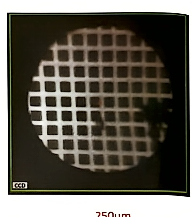 CCD image of the grid with a 250 μm field of view